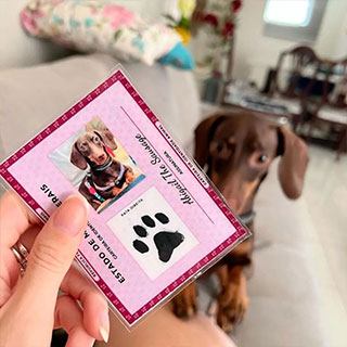 Instagram 2