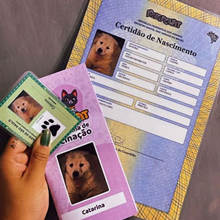Instagram 5