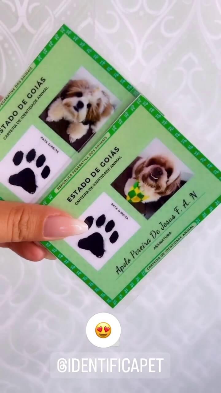 Vídeo 1 do Instagram