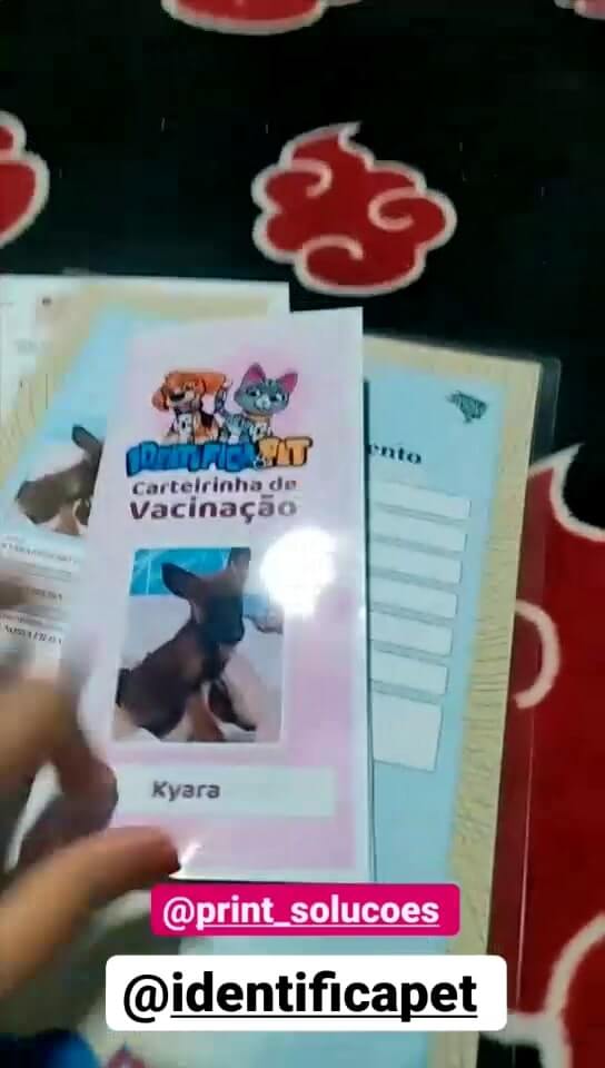 Vídeo 10 do Instagram