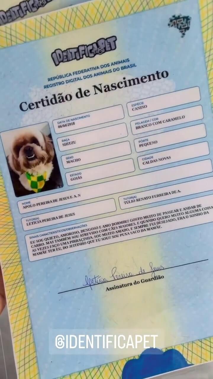 Vídeo 11 do Instagram