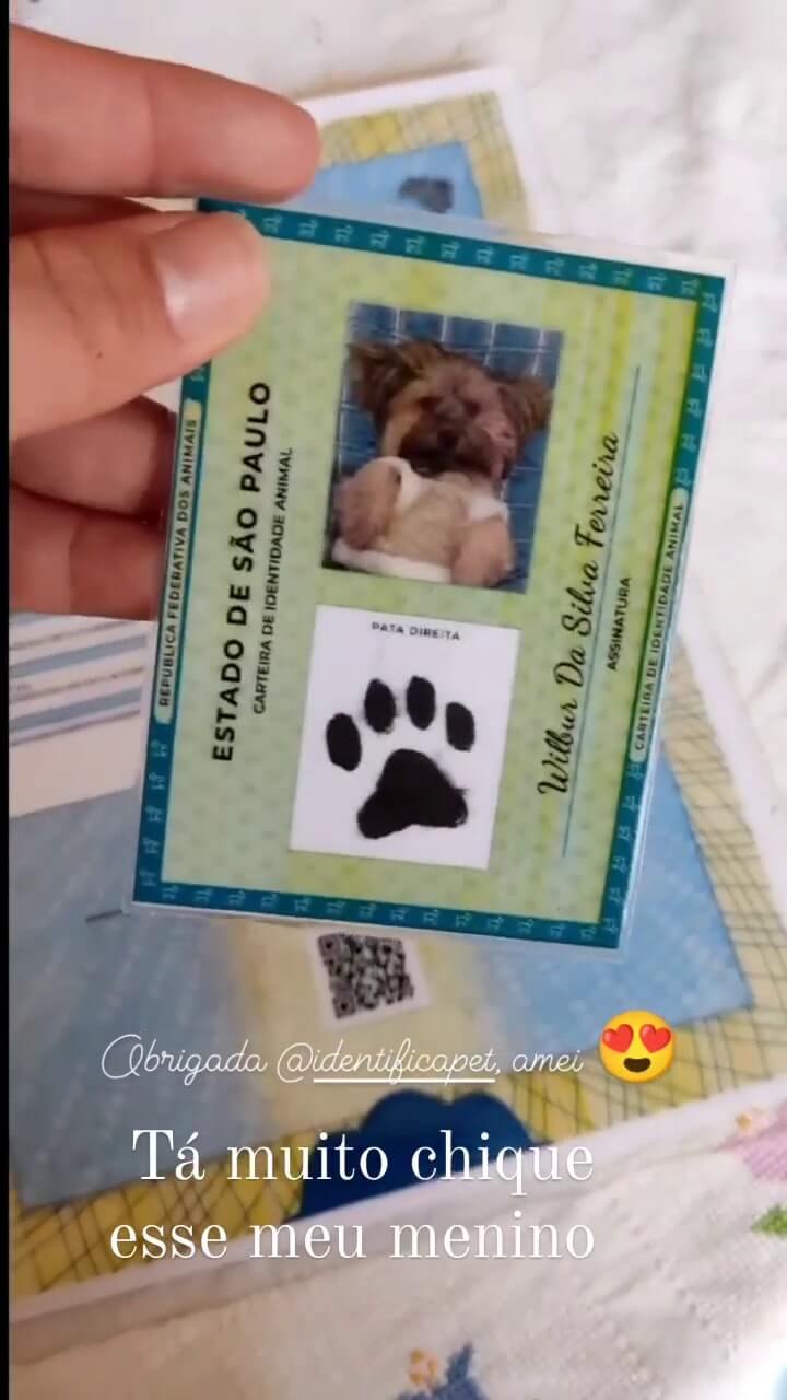 Vídeo 3 do Instagram