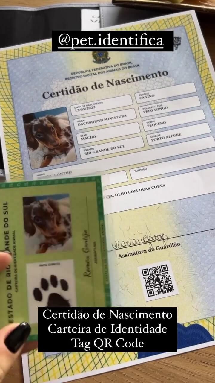Vídeo 4 do Instagram