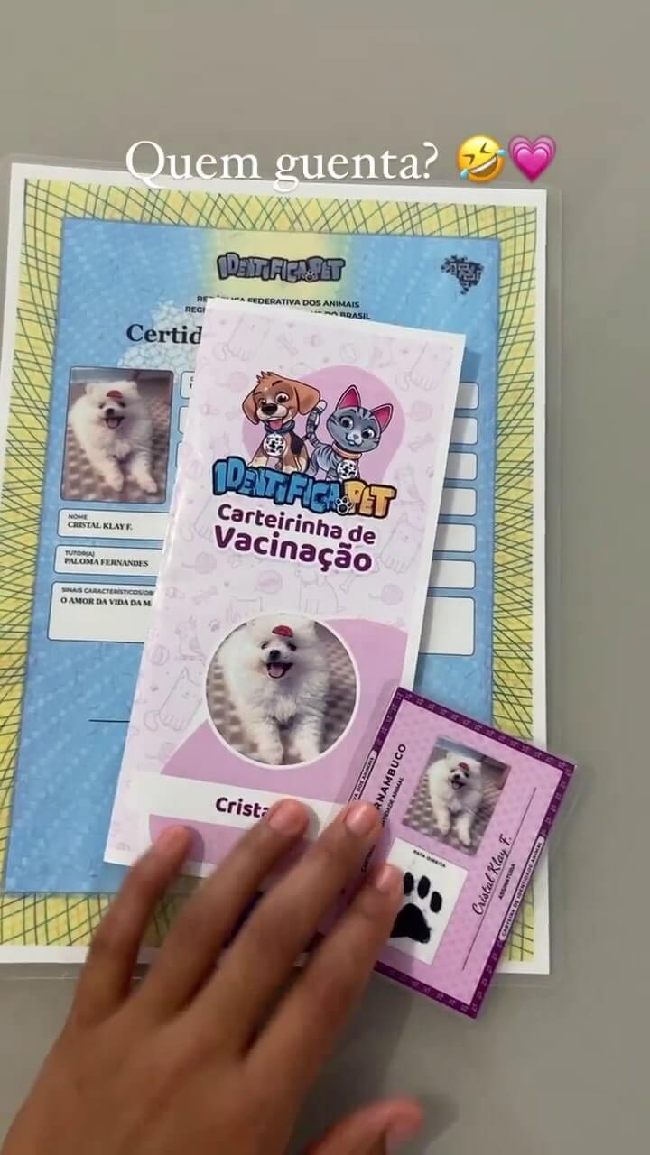 Vídeo 5 do Instagram