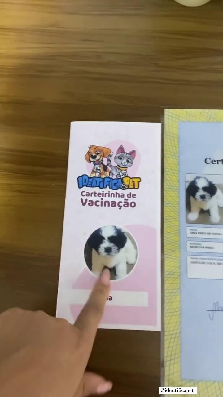 Vídeo 6 do Instagram