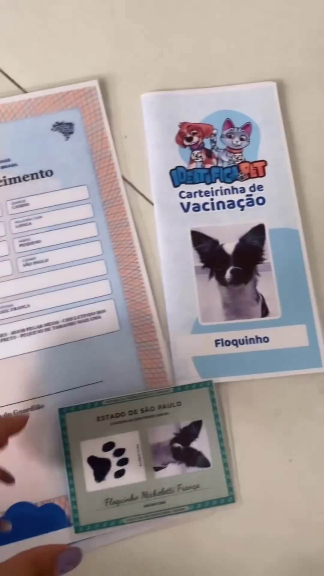 Vídeo 7 do Instagram