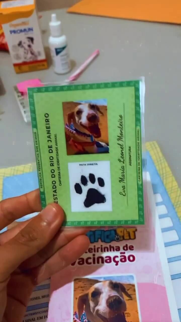 Vídeo 8 do Instagram